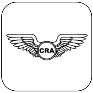 Sticker - Wings